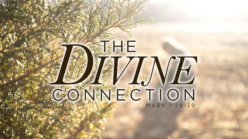 Divine Connection